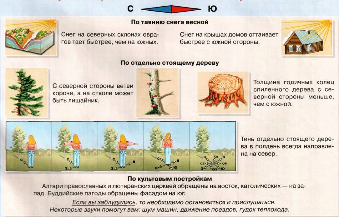 Рисунок природные признаки по которым можно определить стороны горизонта Рисунок природные признаки по которым можно определить стороны горизонта