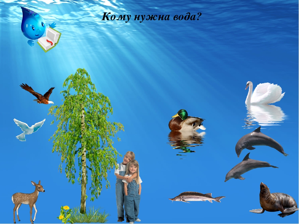 Вода нужна всем картинка