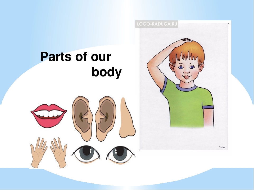 Parts of body презентация