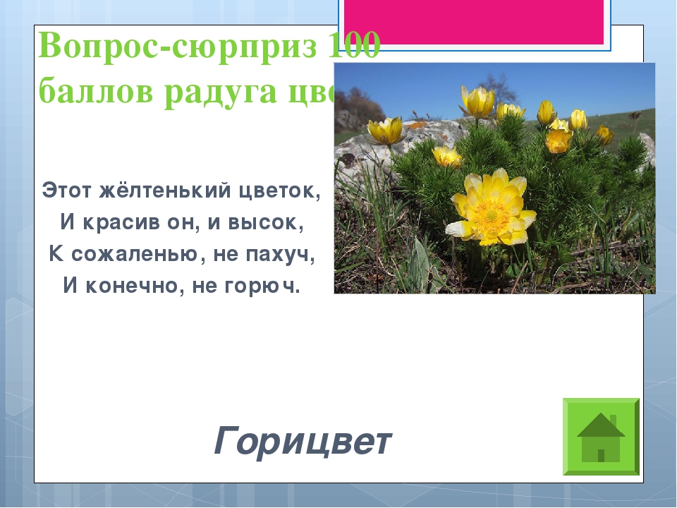 Первоцветы саратовской области фото с названиями