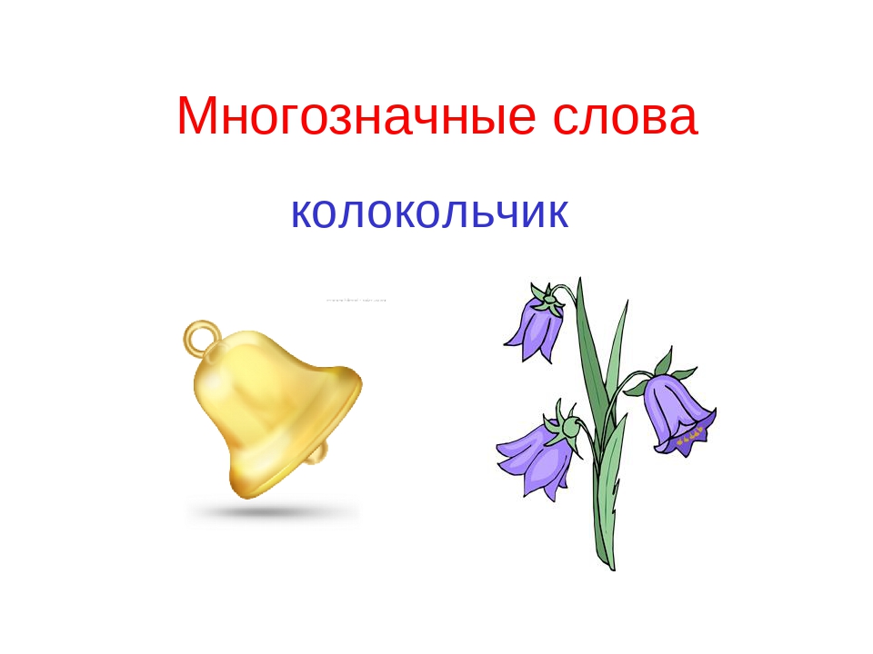 Картинки с омонимами