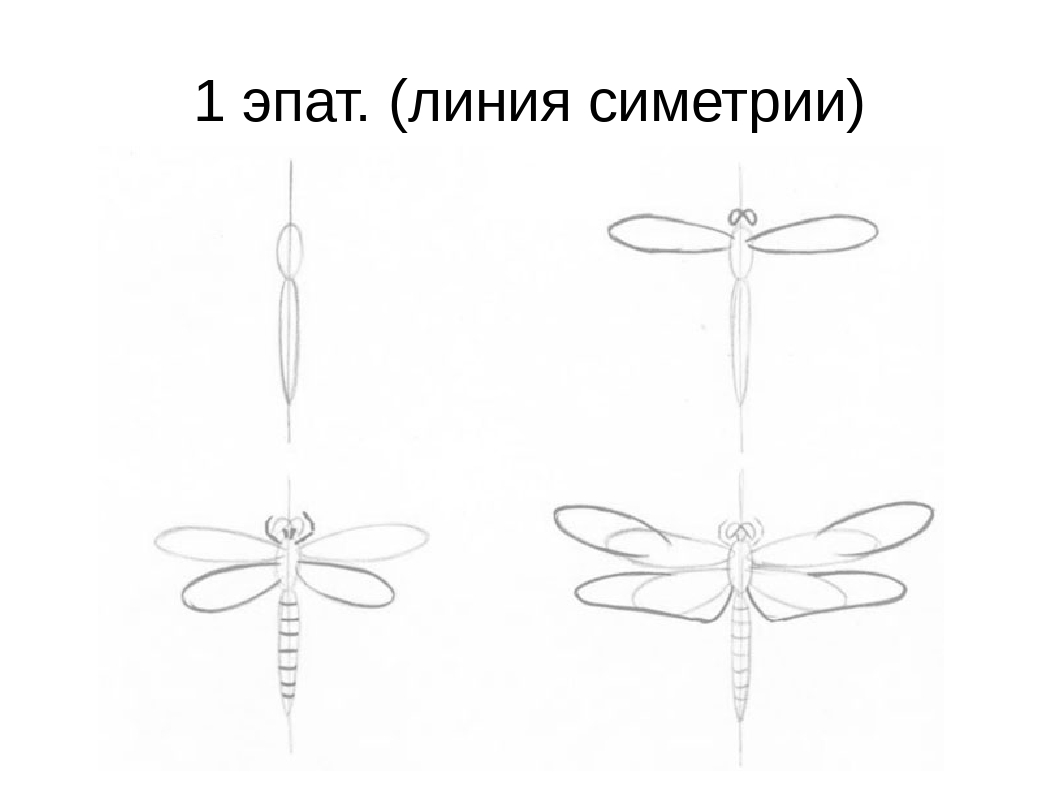 Как рисовать стрекозу для детей поэтапно