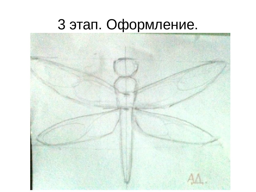 Как рисовать стрекозу для детей поэтапно