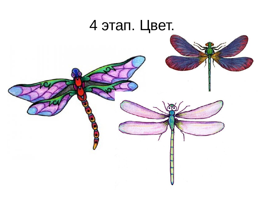 Как рисовать стрекозу поэтапно
