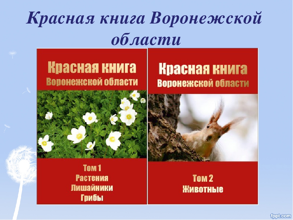 Красная книга воронежской области животные фото и описание