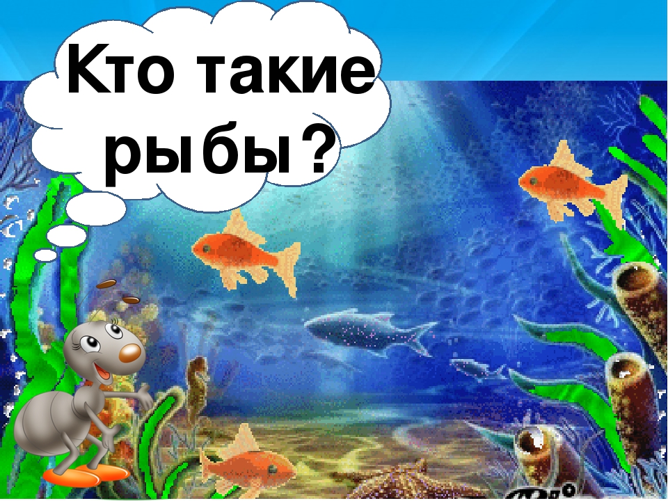 Рыбы презентация для детей. Кто такие рыбы. Рыба для презентации для детей. Тема рыбки. Презентация для детей тема рыбы.