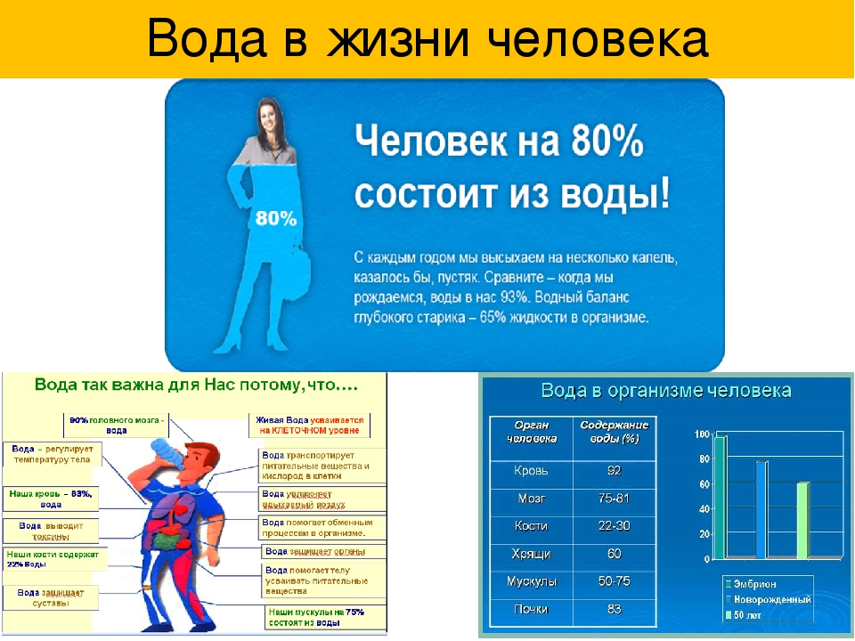 Из чего состоит человек. Процент воды в теле человека. Человек состоит из. Из чего состоит человек в процентах.