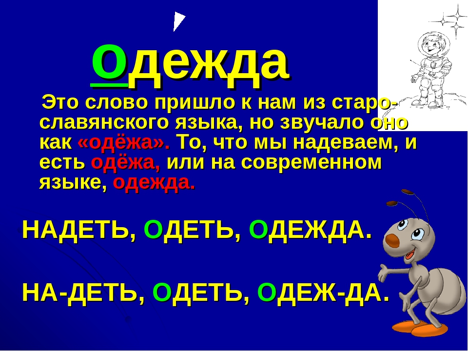 Монитор из какого языка пришло слово