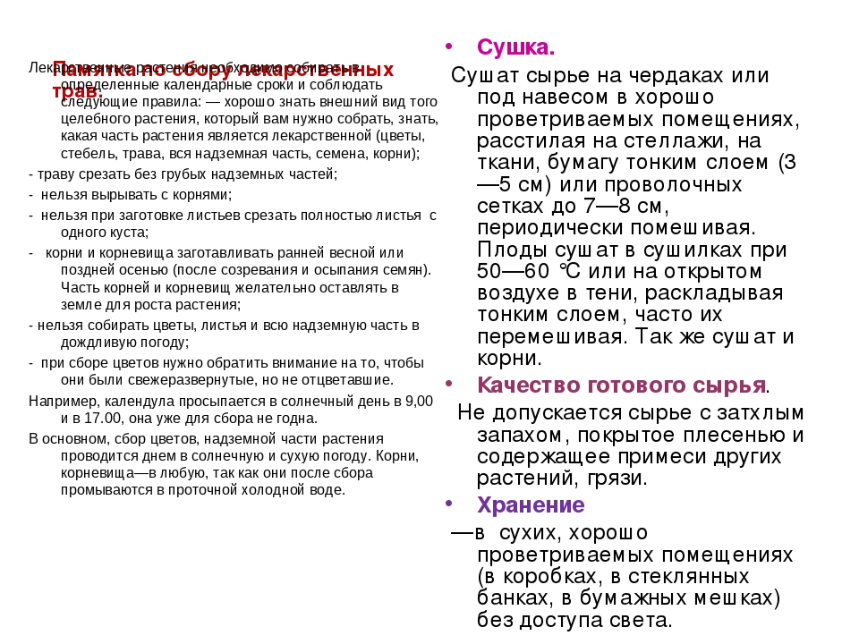 Зеленая аптека 1 класс презентация пнш