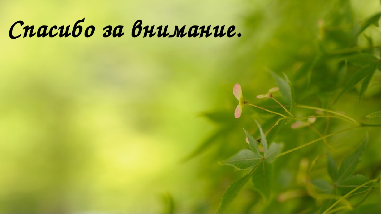 Спасибо за внимание для презентации по экологии