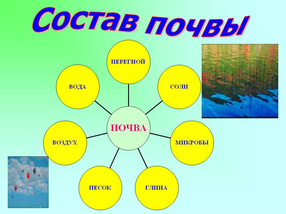 Проект по географии на тему почва