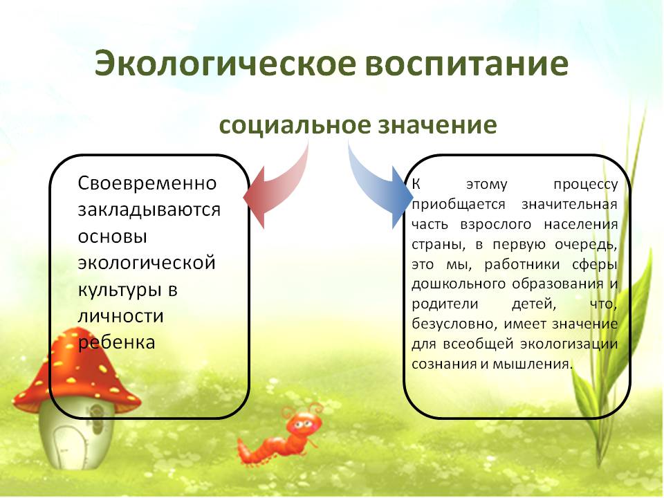 Метод проектов в экологическом воспитании