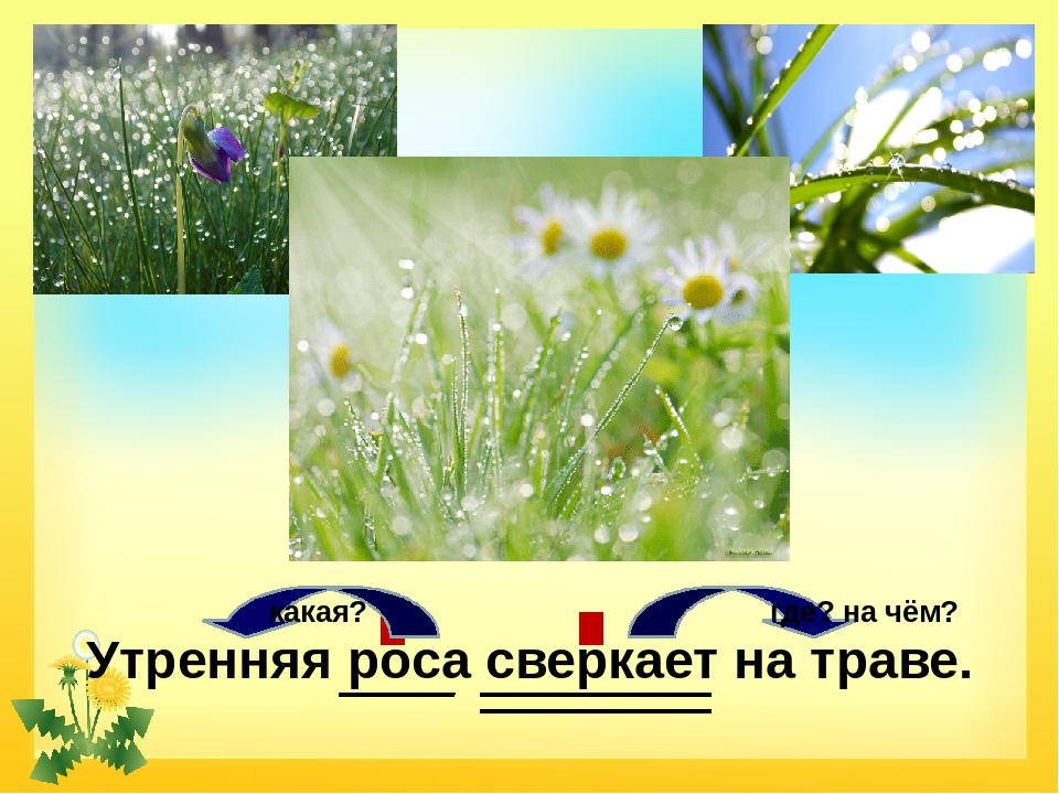 Словосочетание трава. Предложение на слова роса. Предложение со словом роса. На траве блестит роса .словосочетание. Сверкающая роса предложение.