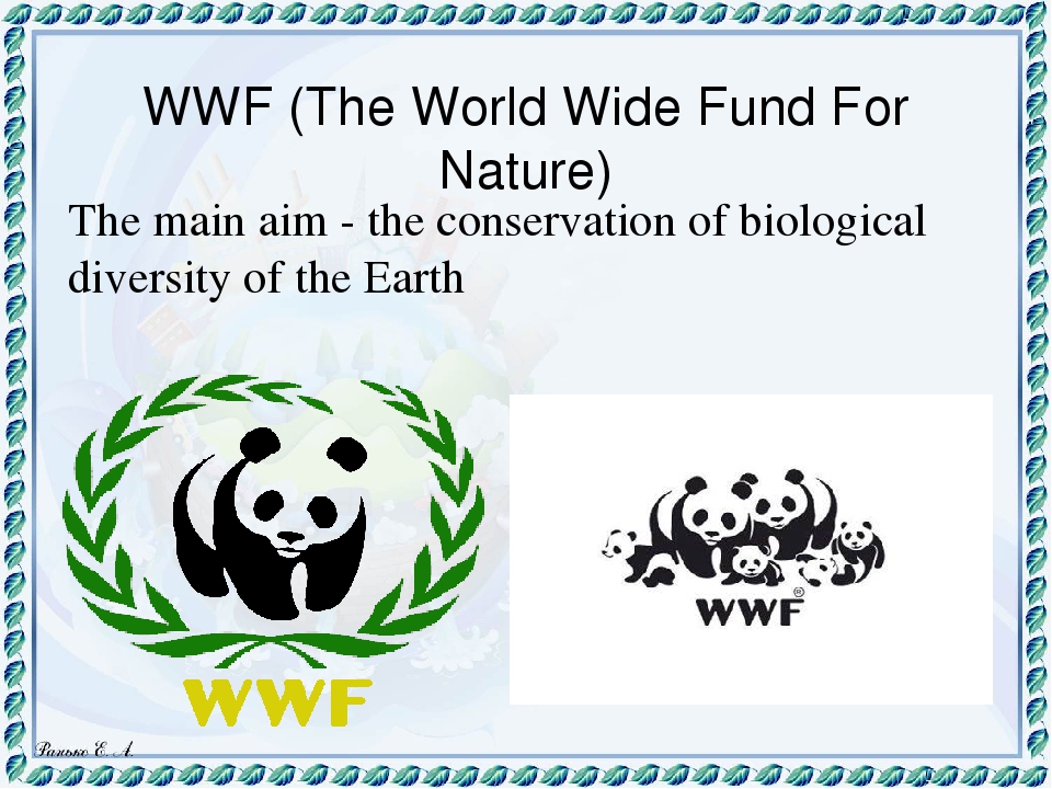 The world wildlife fund is. WWF. WWF мир. Всемирный фонд дикой природы участники. Всемирный фонд дикой природы здание.